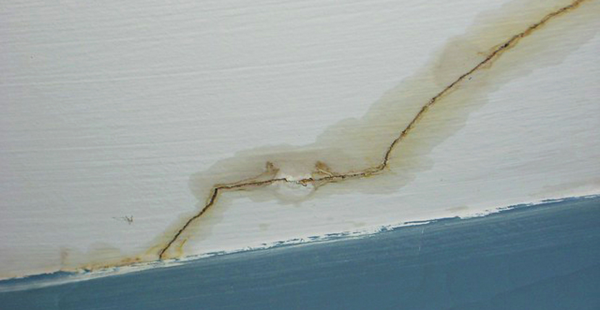 wet & forget mold & mildew bathroom cleaner
